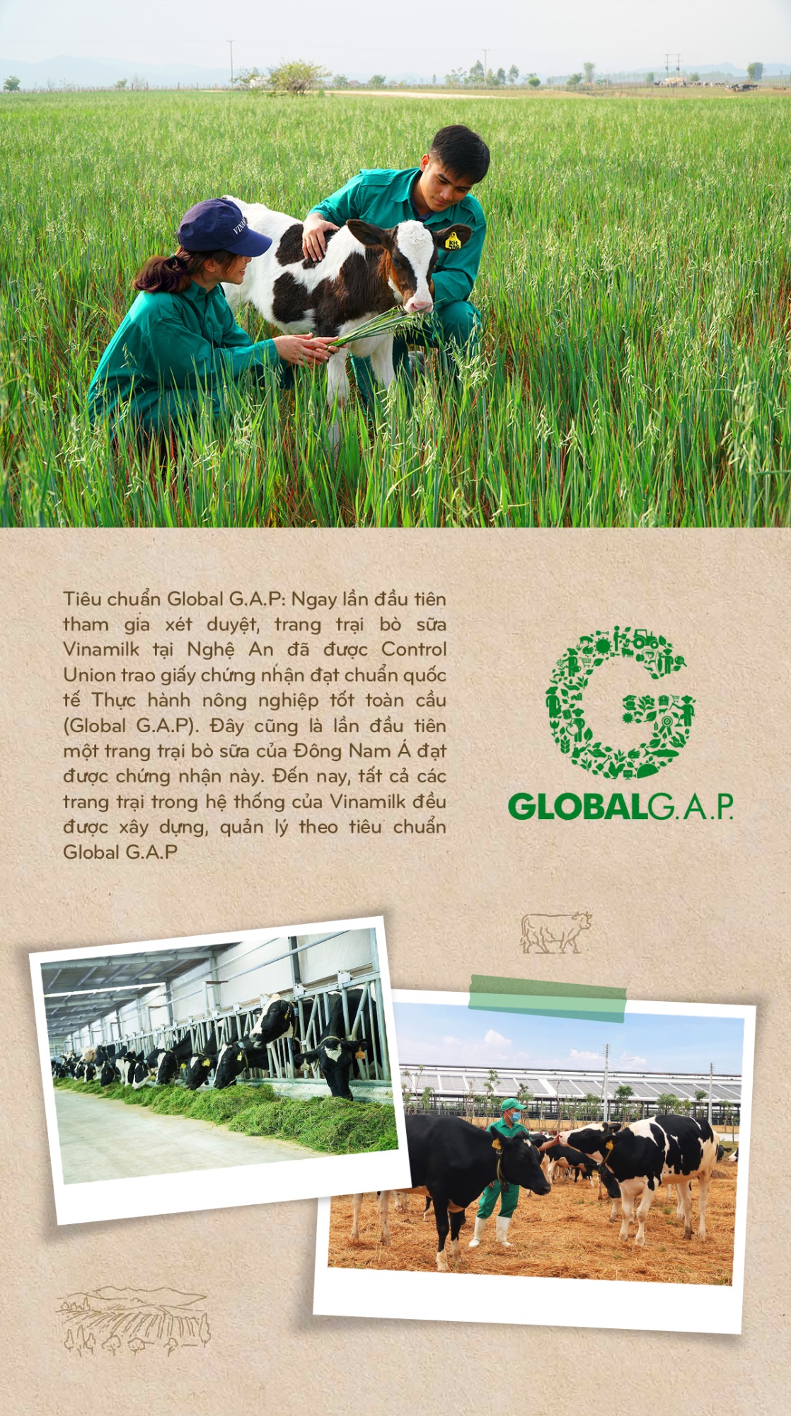 Vinamilk: 15 năm xây hệ thống trang trại bò sữa với “bộ sưu tập” tiêu chuẩn quốc tế - Ảnh 11